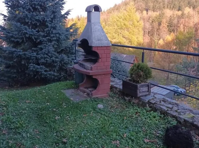 Marcela كارباش