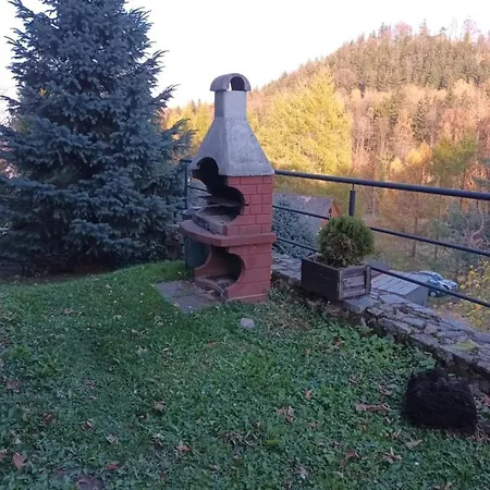 Marcela カルパッチ