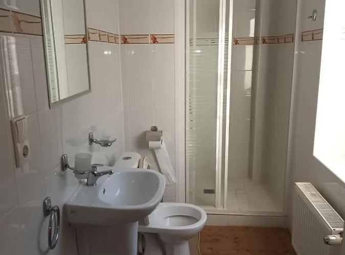 Marcela בית הארחה קרפאז'